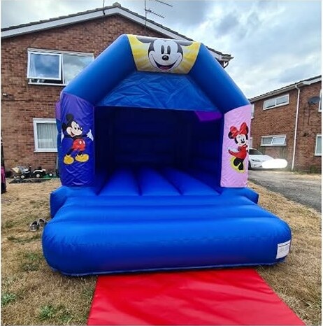 Covered mouse friends bouncy castle